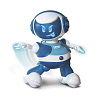 Интерактивный роботом Discorobo – Лукас