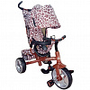 Трехколесный велосипед Baby Tilly Zoo-Trike T-342