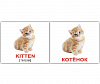 Набор карточек Вундеркинд с пеленок«Domestic animals/Домашние животные» МИНИ 40(2100064096754)