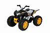 Электрический квадроцикл Powersport ATV 12V